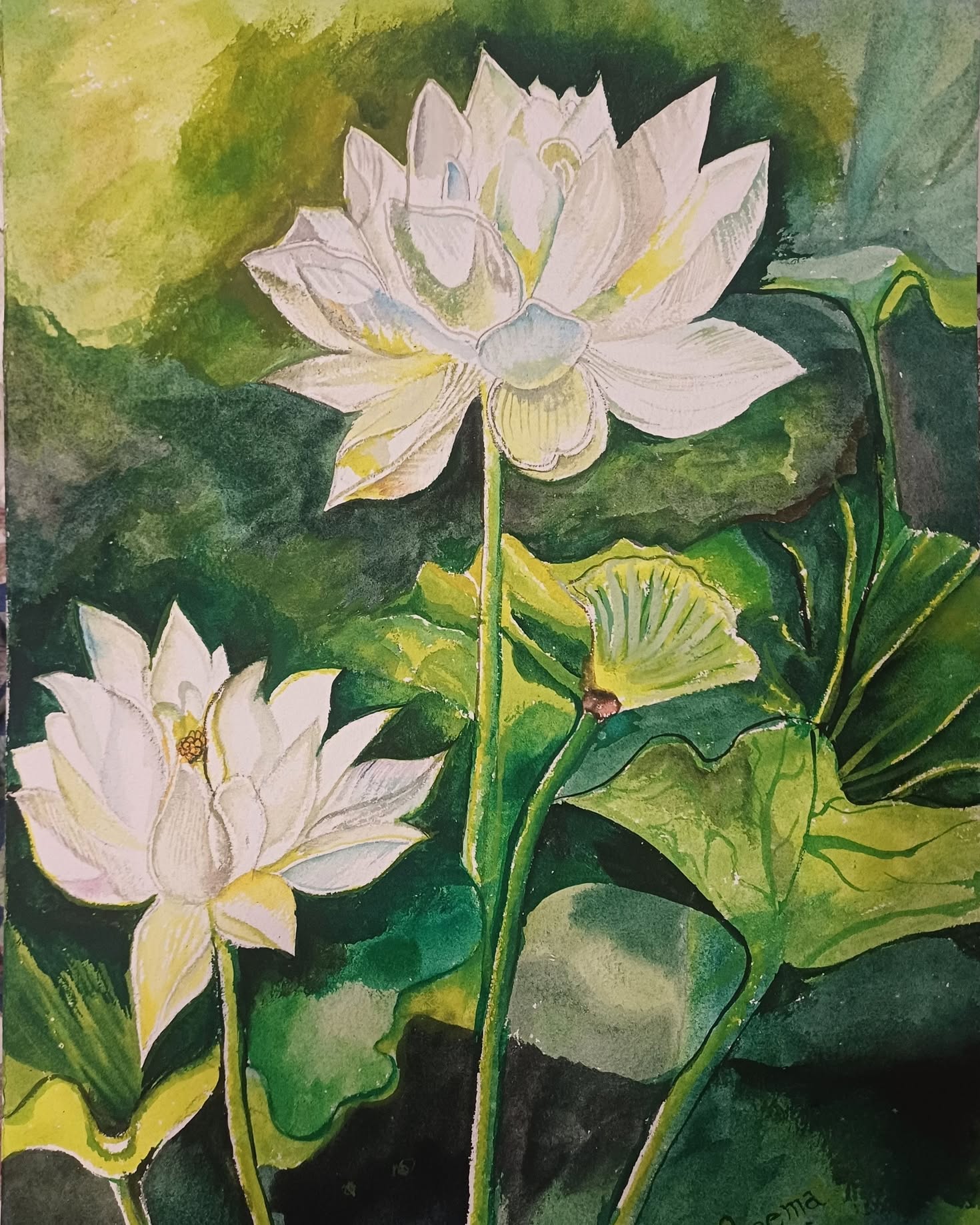 White lotus flowers painted by Rujuta Danait