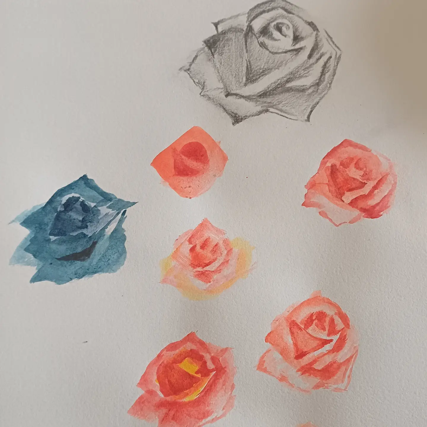 Studies of roses in pink, blue and pencil